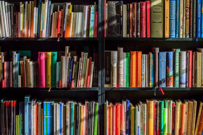 vitrine-PEGOMAS-min_books_bookstore_book_reading_shop_writer_sale_books_read-822866